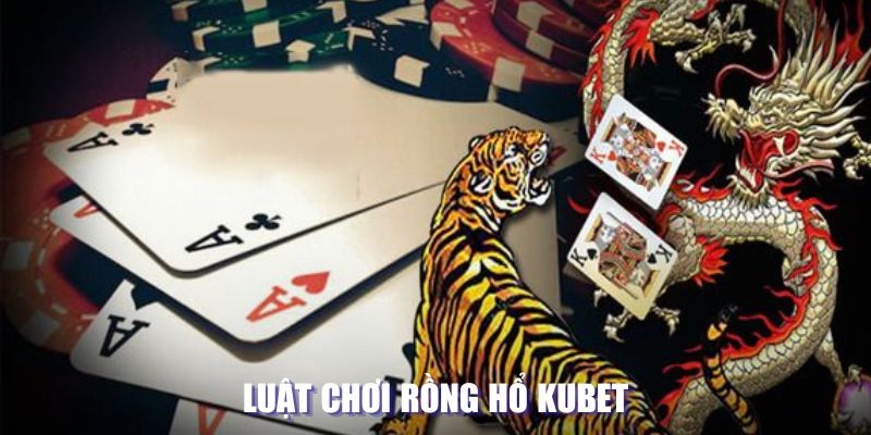 Phương pháp chơi Rồng hổ tại nhà Kubet